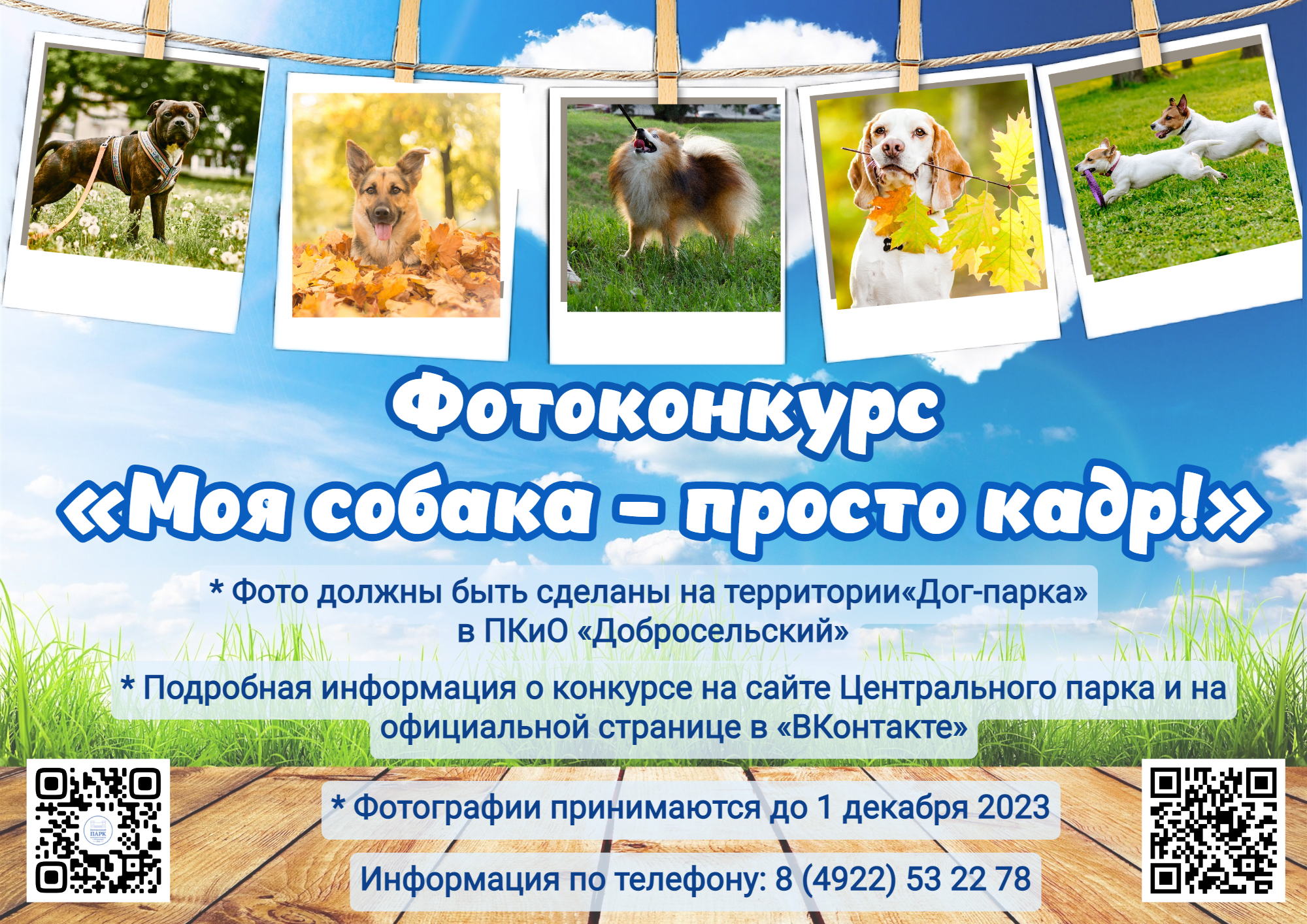 fotokonkurs_dog_park